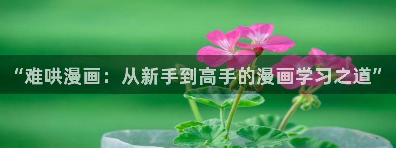 51漫画日漫在线：“难哄漫画：从新手到高手的漫画学习之道”