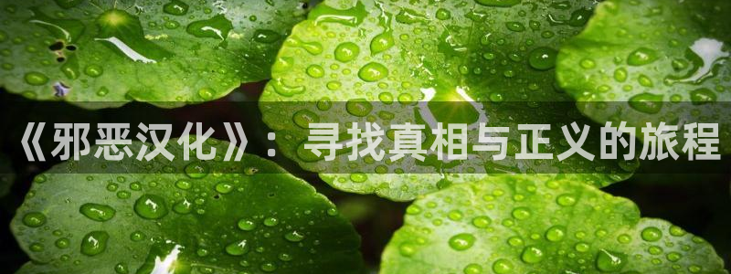 免费51漫画网站入口在线看：《邪恶汉化》：寻找真相与正义的旅程