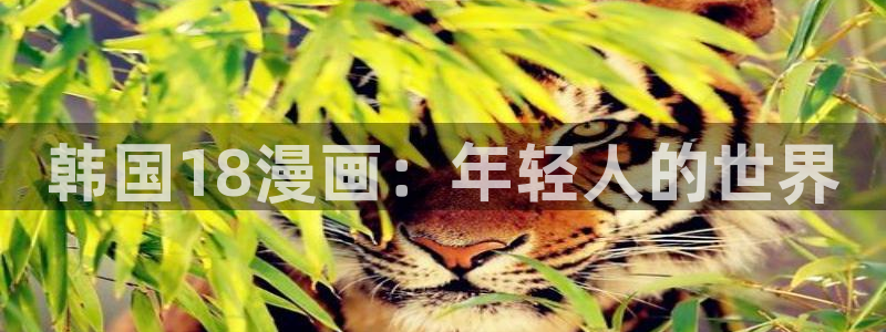 51漫画非我莫属免费漫画：韩国18漫画：年轻人的世界