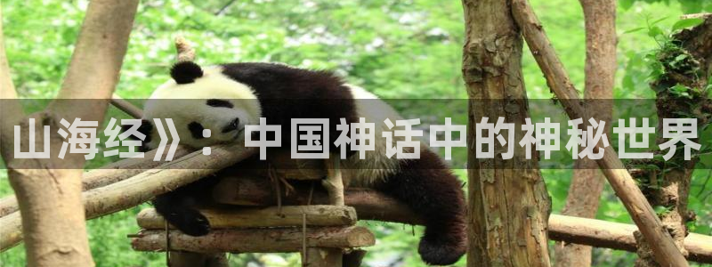 h51漫画免费观看：山海经》：中国神话中的神秘世界