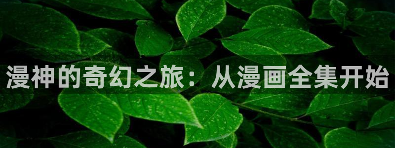 免费51漫画画在线阅读：漫神的奇幻之旅：从漫画全集开始
