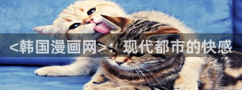 51漫画免费51漫画：<韩国漫画网>：现代都市的快感
