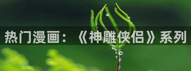 51漫画无遮灰灰：热门漫画：《神雕侠侣》系列