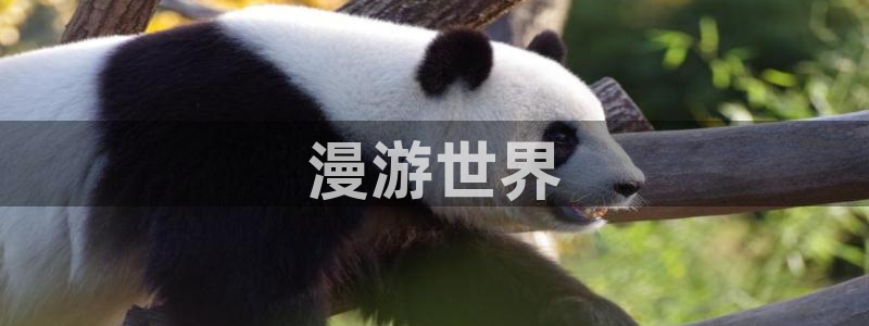 91漫画网址51漫画：漫游世界