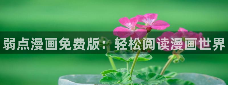 51漫画免费漫画大全：弱点漫画免费版：轻松阅读漫画世界