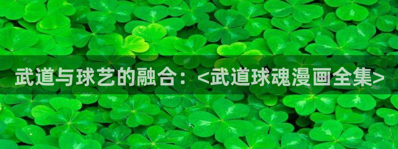 51漫画土豪下拉式免费漫画：武道与球艺的融合：<武道球魂漫画全集>